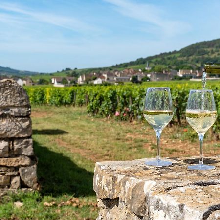 Charmante Maison Climatisee Avec Son Jardin A 10 Minutes De Dijon Marsannay-la-Côte Zewnętrze zdjęcie